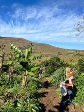 Mini Coffee Origin Trip: Bonakude Farm, Phatheni